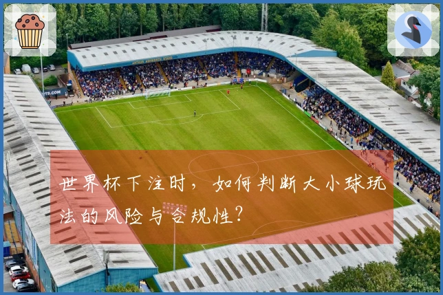 世界杯下注时，如何判断大小球玩法的风险与合规性？