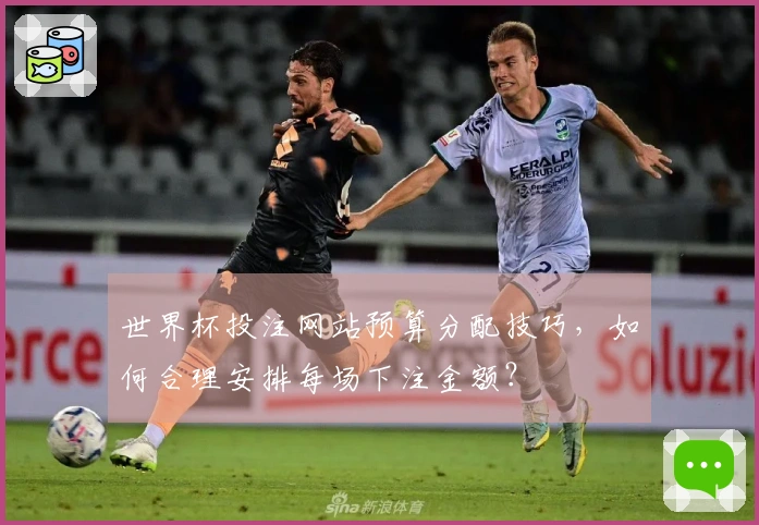 世界杯投注网站预算分配技巧，如何合理安排每场下注金额？