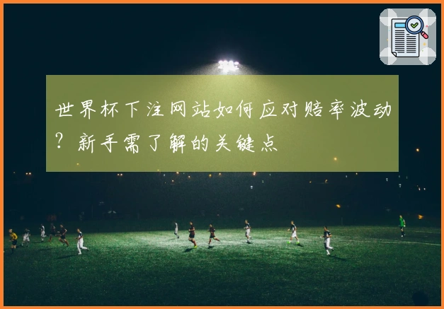 世界杯下注网站如何应对赔率波动？新手需了解的关键点
