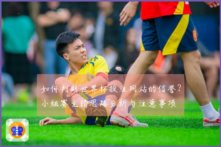 如何判断世界杯投注网站的信誉？小组赛竞猜思路分析与注意事项