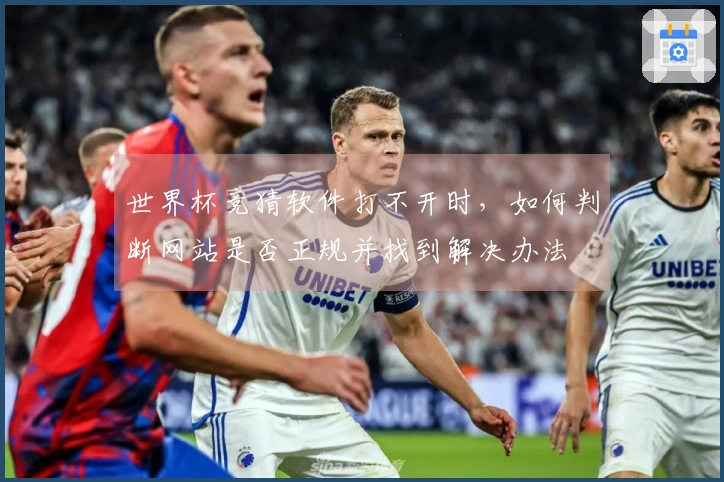 世界杯竞猜软件打不开时，如何判断网站是否正规并找到解决办法