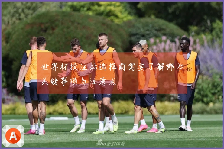 世界杯投注站选择前需要了解哪些关键事项与注意点