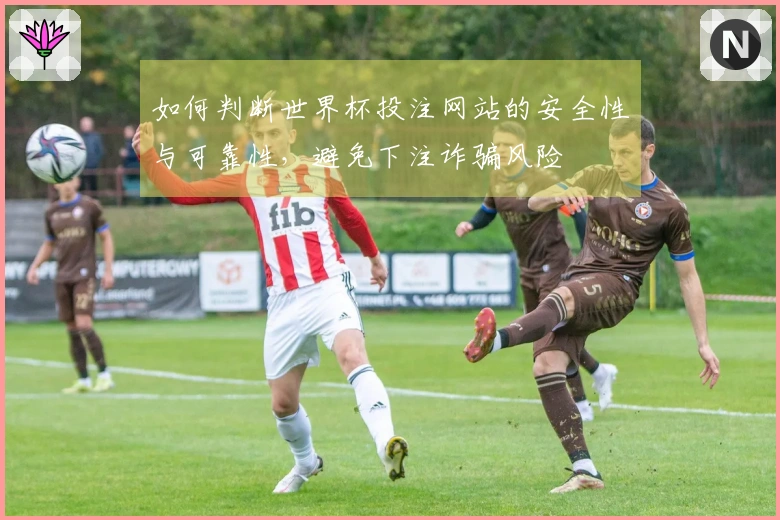 如何判断世界杯投注网站的安全性与可靠性，避免下注诈骗风险