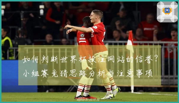 如何判断世界杯投注网站的信誉？小组赛竞猜思路分析与注意事项