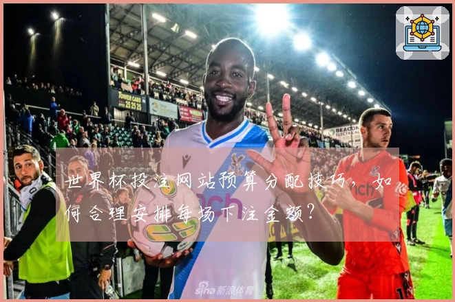 世界杯投注网站预算分配技巧，如何合理安排每场下注金额？