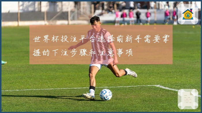 世界杯投注平台选择前新手需要掌握的下注步骤和注意事项